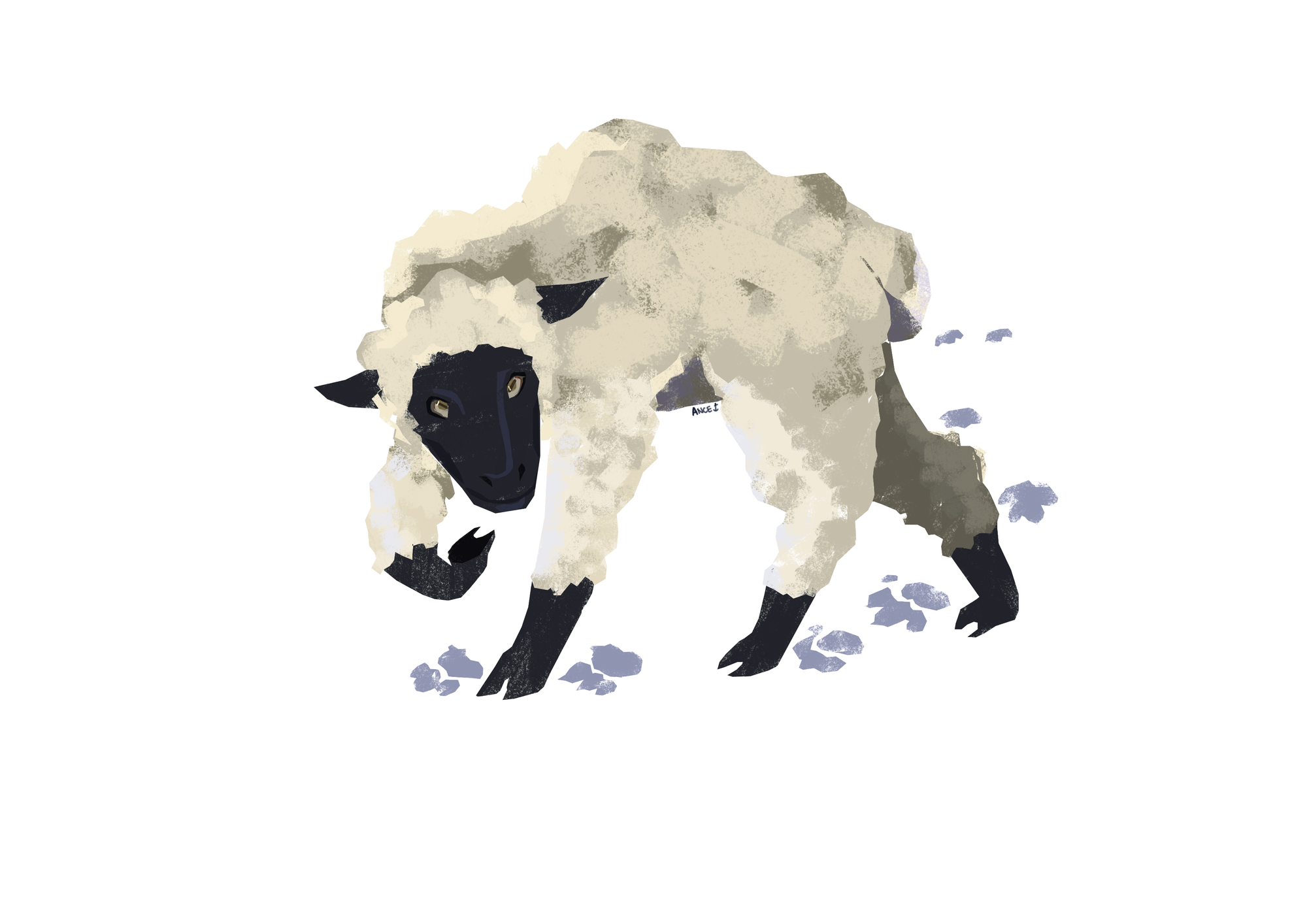 Lamb